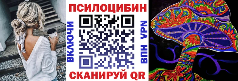 Псилоцибиновые грибы мухоморы блэк спрут как зайти Елизаветинская где купить наркоту